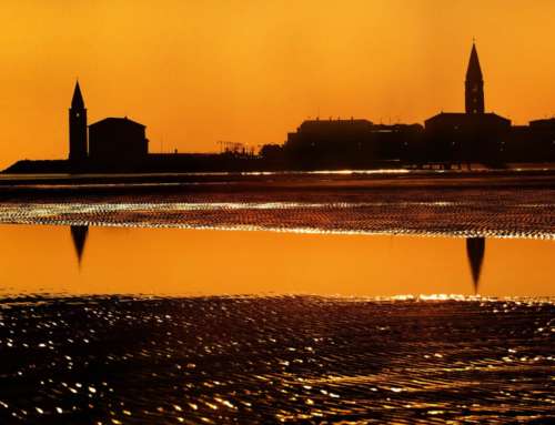 VENICE TOUR